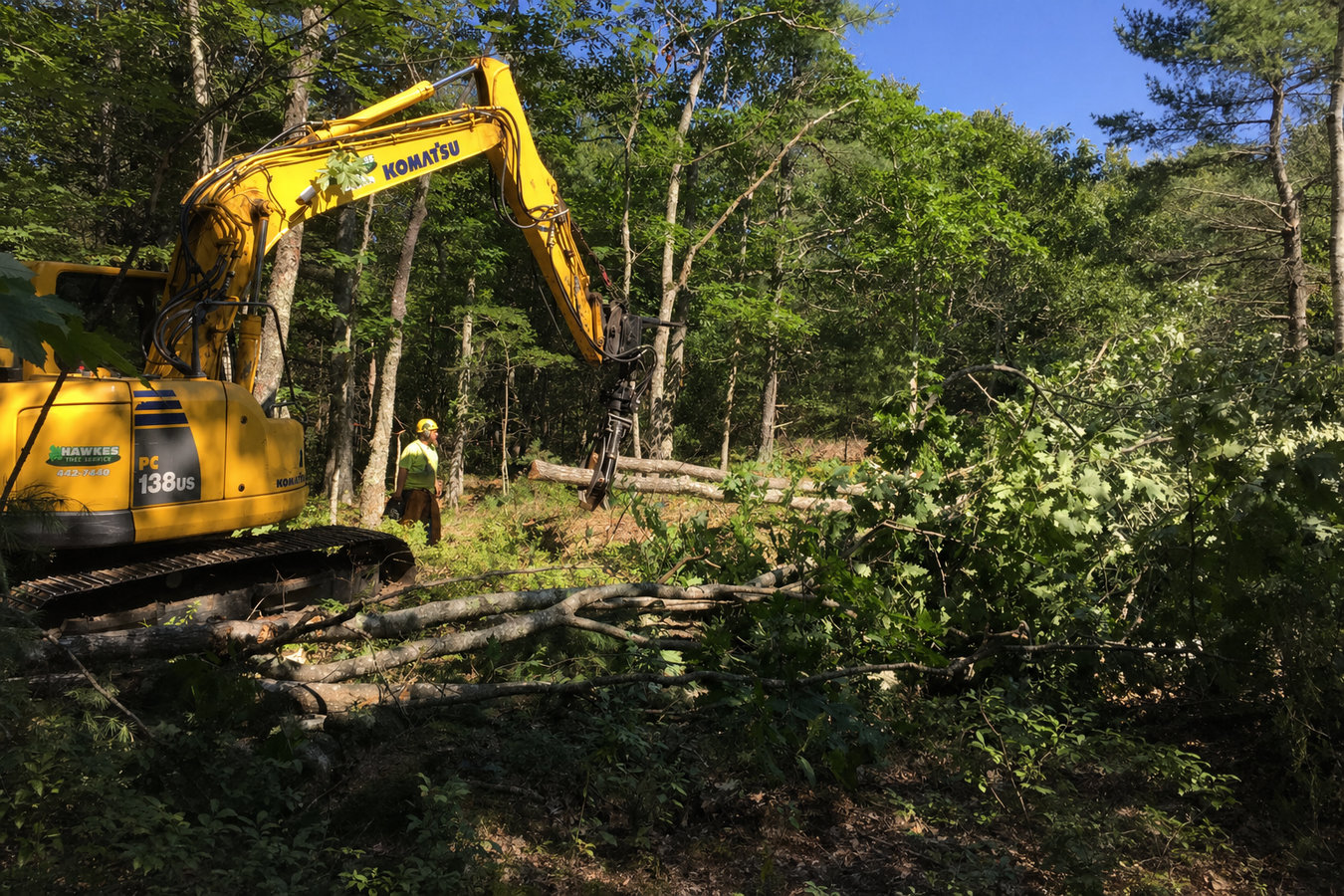 Land Clearing in Petaluma, CA