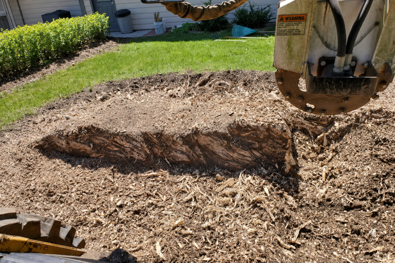 Stump Grinding in Petaluma, CA