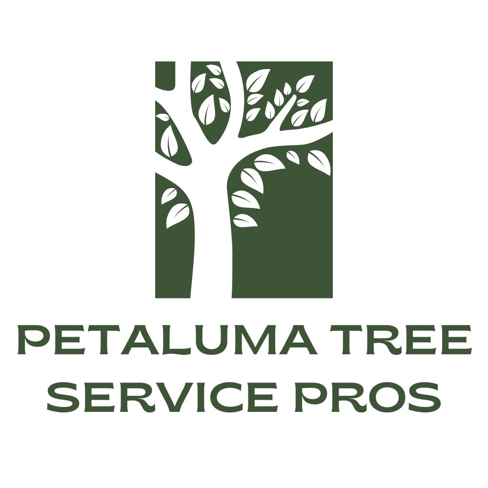 Petaluma Tree Service Pros